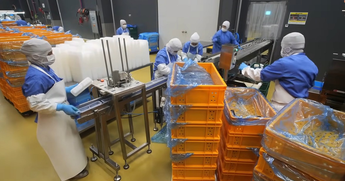 냉동김밥-제천-공장