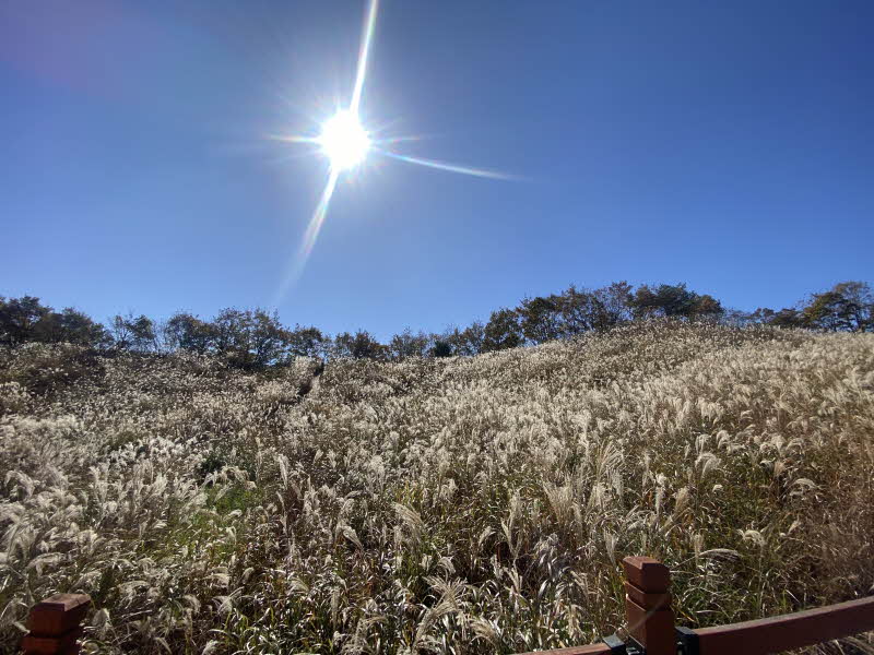 포천 명성산 등산코스 추천 억새꽃축제 방문후기. 주차장 정보