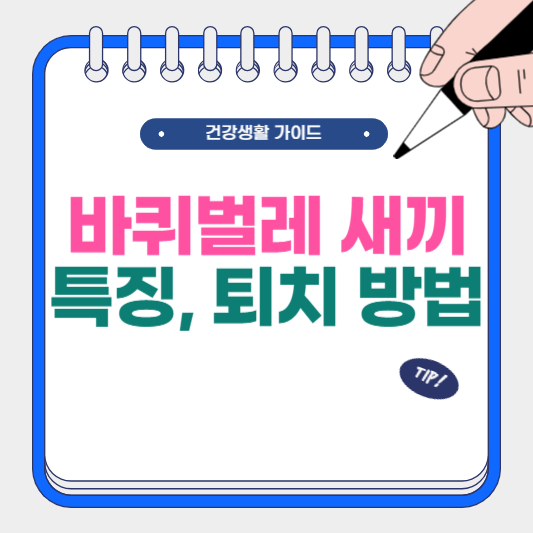 바퀴벌레 새끼 특징, 퇴치 방법