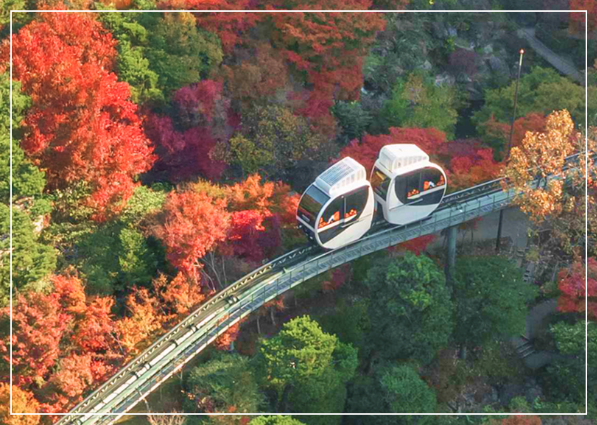 화담숲 모노레일 이미지/출처: 화담숲 홈페이지