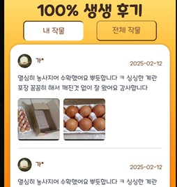올팜 맞팜