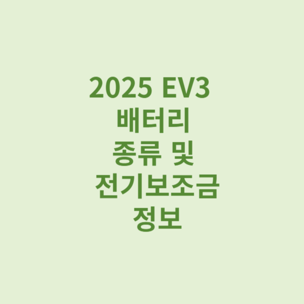 2025 EV3 배터리종류 및 전기보조금 정보