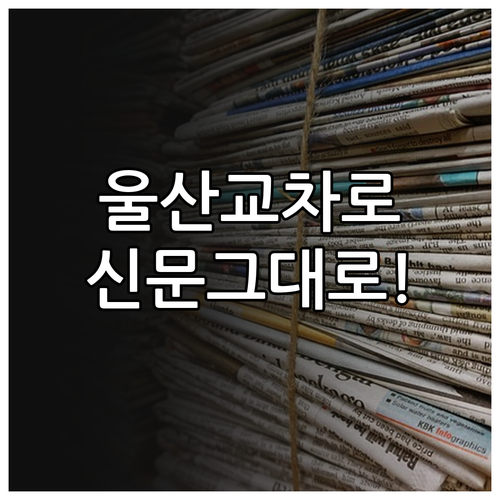 별도 설치 없는 울산 교차로 신문 그..