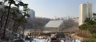 수원 반려견 산책 어디가 좋을까? 겨울에도 걷기 좋은 명소 추천