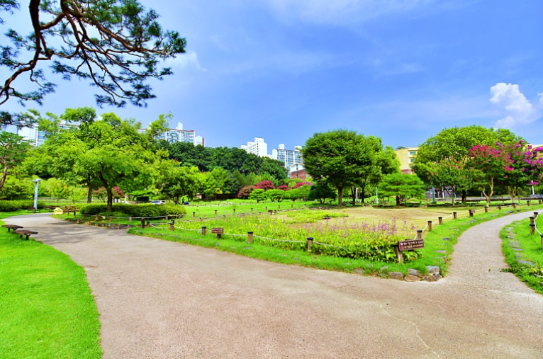 대전 가볼만한곳 베스트10