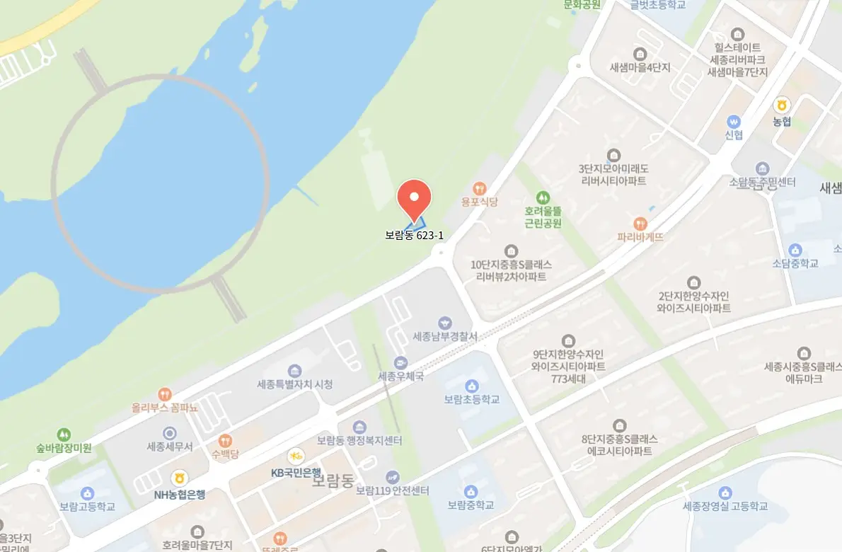 세종시 빛 축제