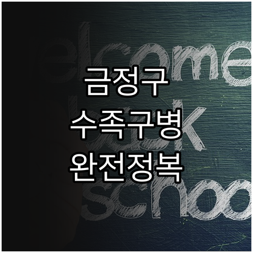 금정구 수족구병 증상 완화법과 등원 ..