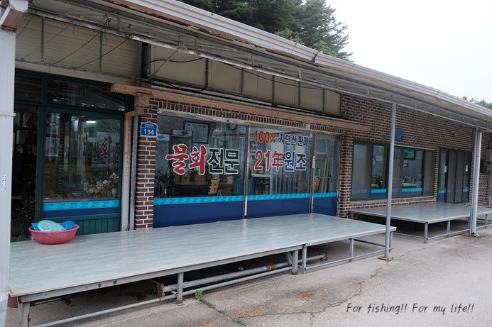 강원도 맛집 : 현지인 추천 강원도 베스트, 강원도 투어 맛집 여행