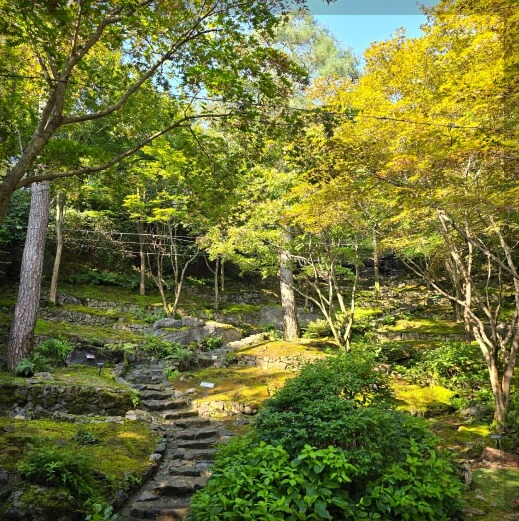 화담숲 단풍여행: 가을 절경을 만끽하는 최고의 산책 코스 추천