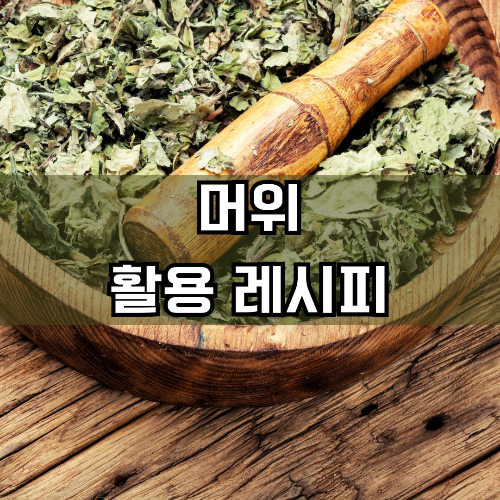 머위 효능