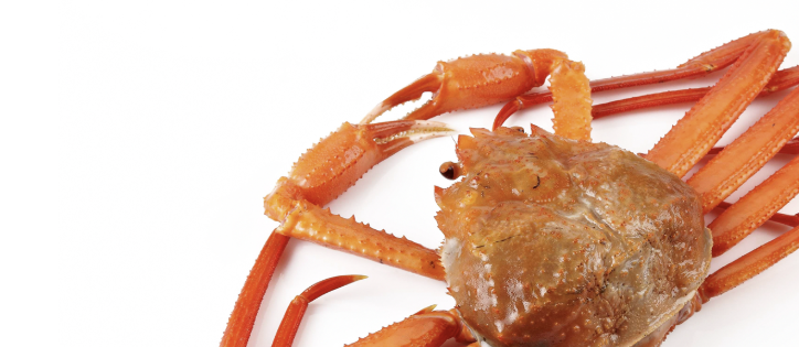 영덕대게축제 1