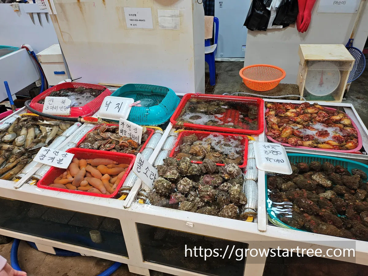 통영 중앙전통시장 낙지, 뿔소라, 멍게 등