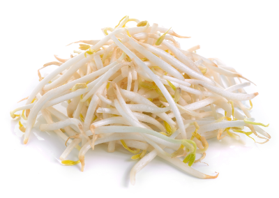 숙주의 영양