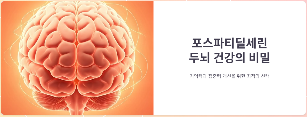 포스파티딜세린 성분, 효능, 가격, 부작용, 복용후기 총정리!