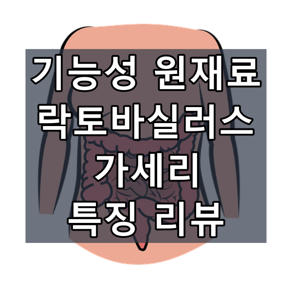 락토바실러스 가세리 대표이미지