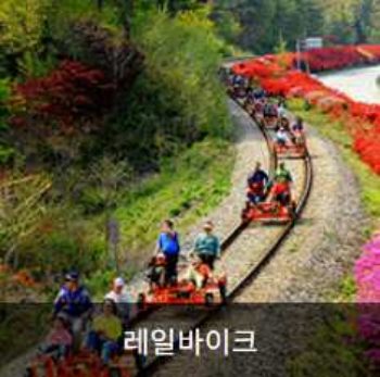 곡성장미축제