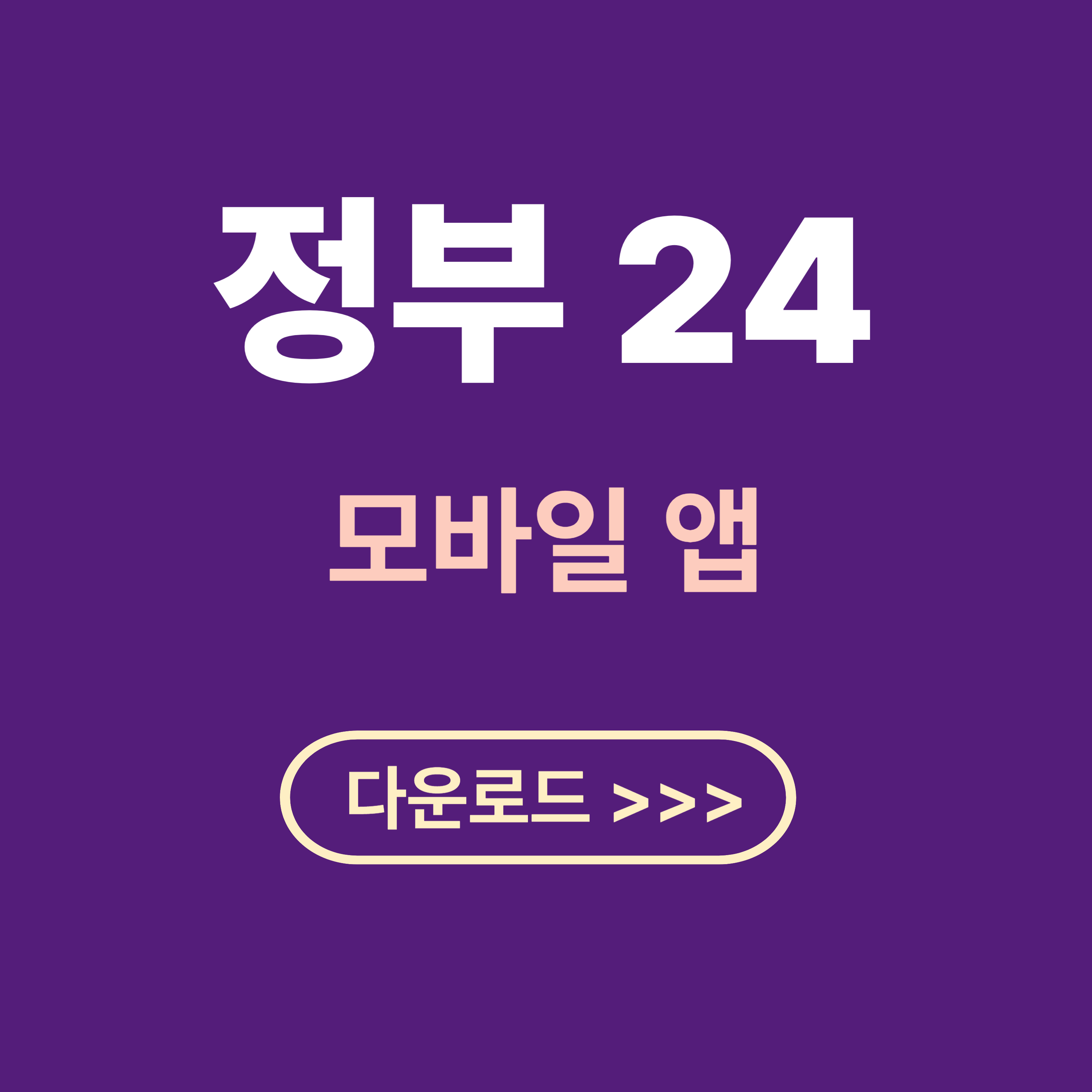 정부 24 앱 다운로드