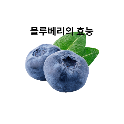 블루베리의 효능