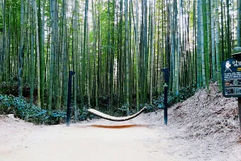 담양 죽녹원 소아르호텔 숙박 맛집_15
