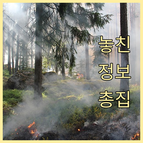 만 19세 이상만? 상생페이백 자격과..