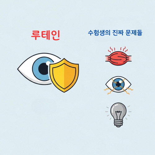 수험생 눈 영양제