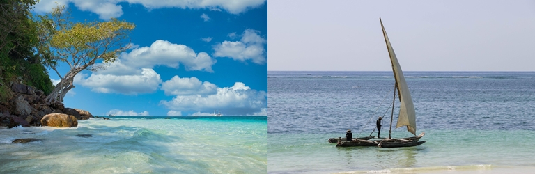 동해안 해수욕장 관련 사진