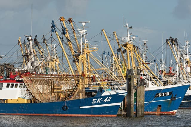 4월 1일, 수산인의 날을 아시나요