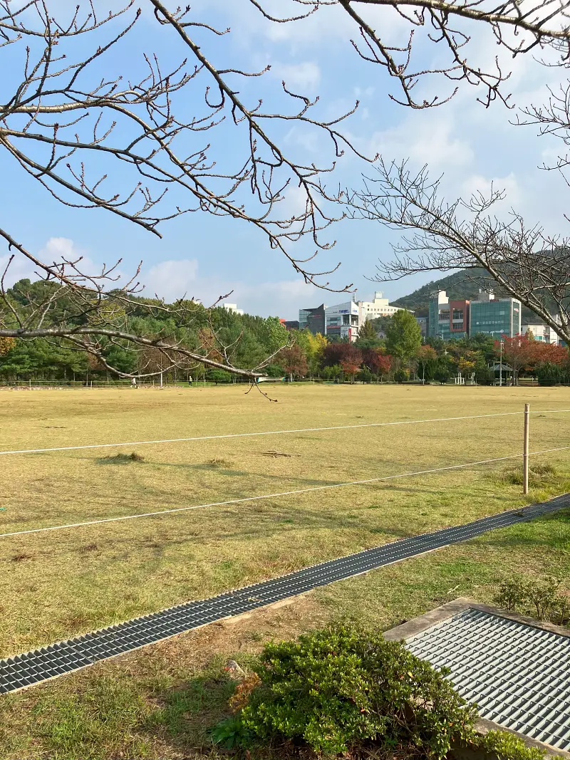 잔디밭