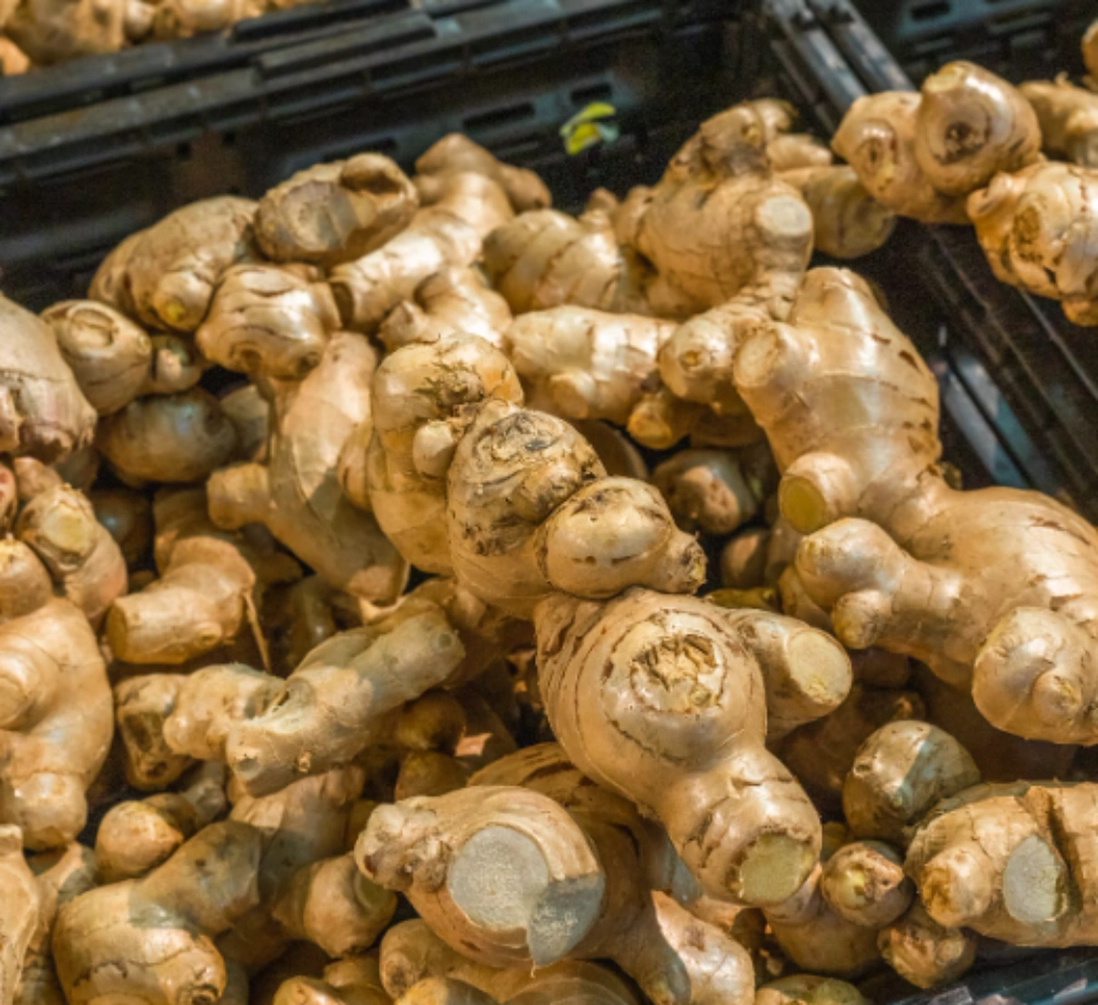 술 빨리 깨는 방법