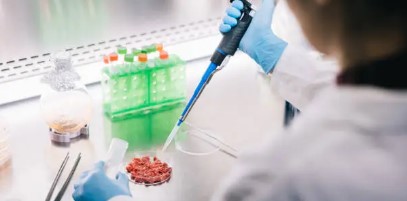 미래의 먹거리를 개발하다: 대체 단백질 연구자