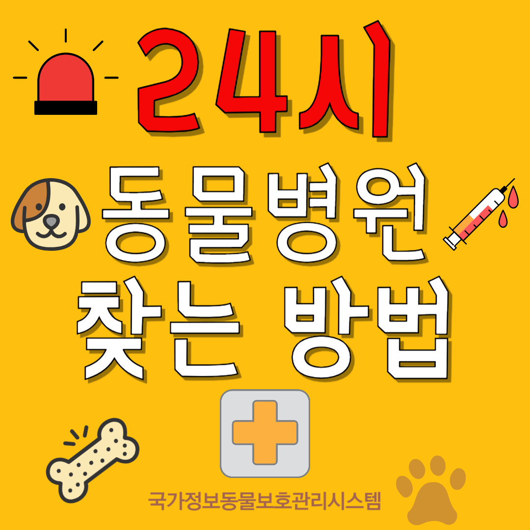 24시 동물병원 찾는 방법