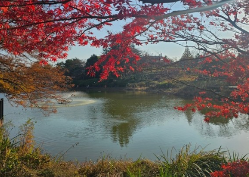 2024 유명한 산 단풍 시기