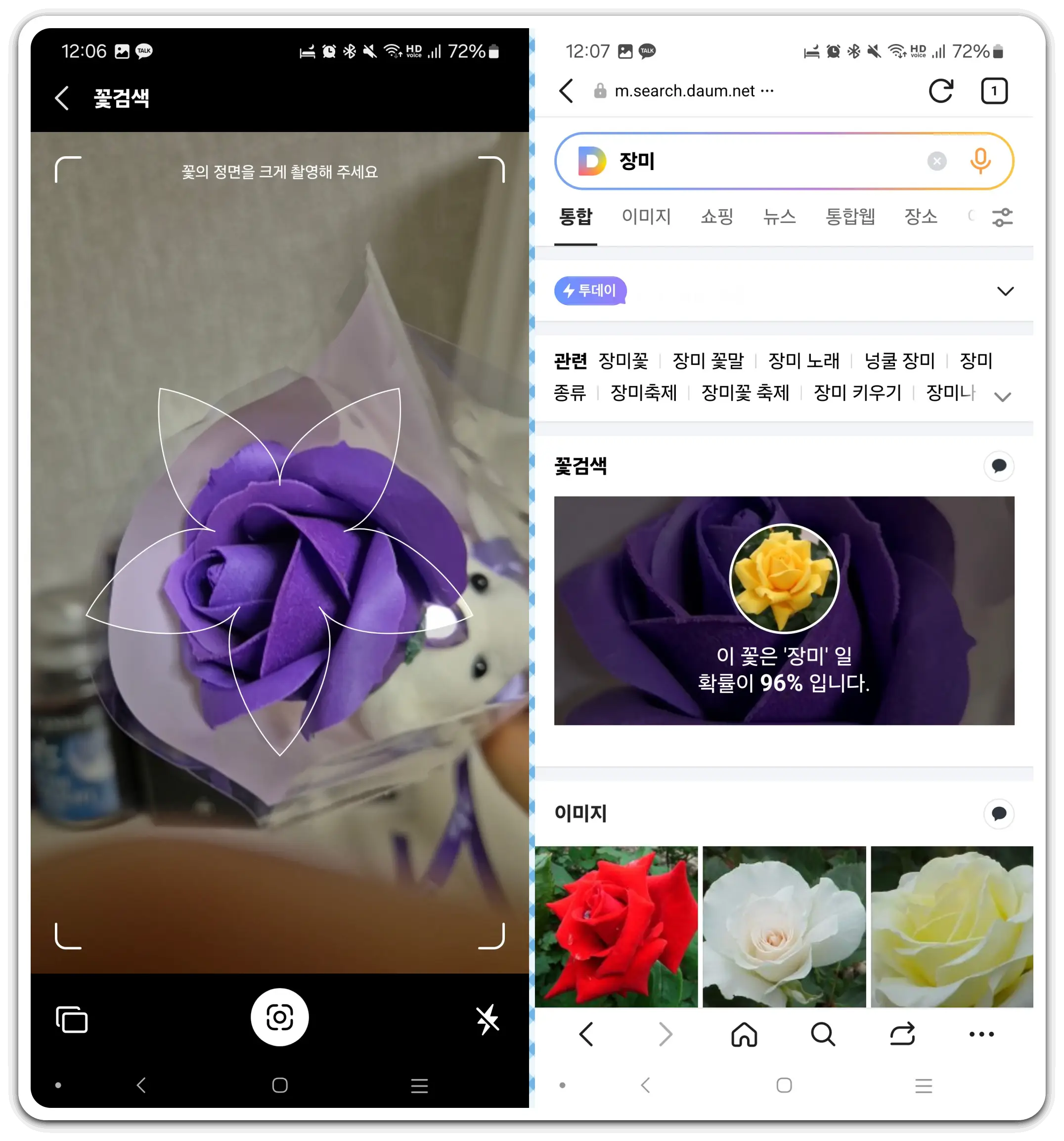 꽃-검색-꽃-사진-이름-검색-방법