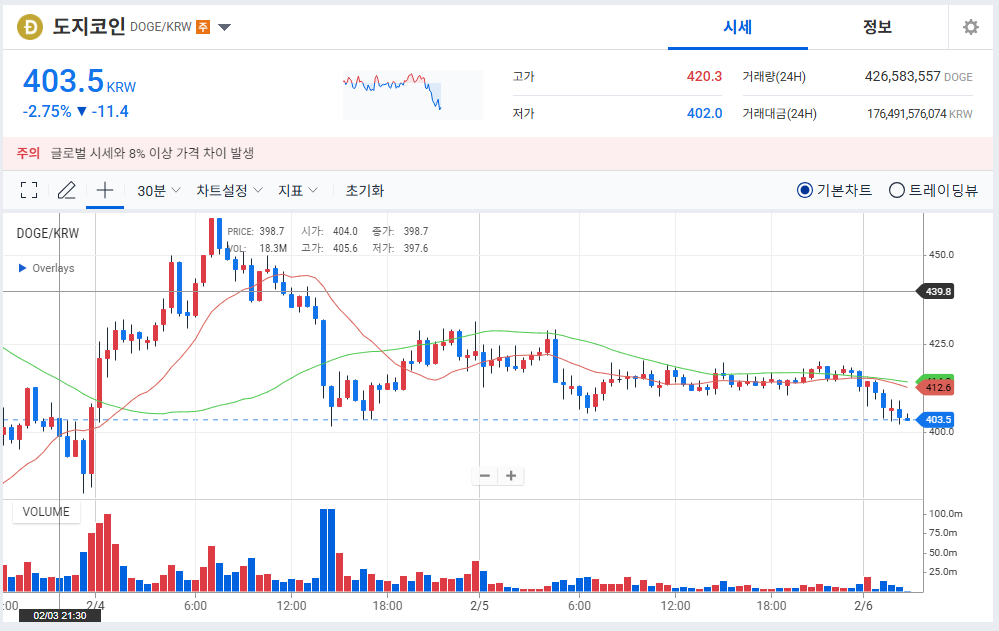 도지코인 전망 분석