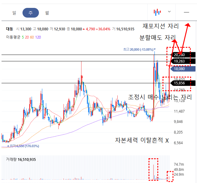 대동 주봉차트