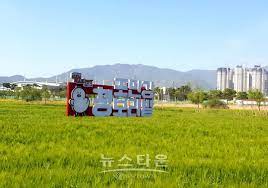 허수아비 청보리 축제 기본일정과 특징 소개