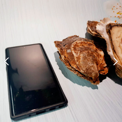 6시내고향 섬진강 강굴 벚굴 가격 및 구매방법 전남 광양 망덕수산