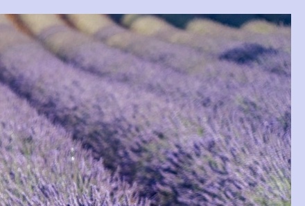 6월 국내 여행지 추천