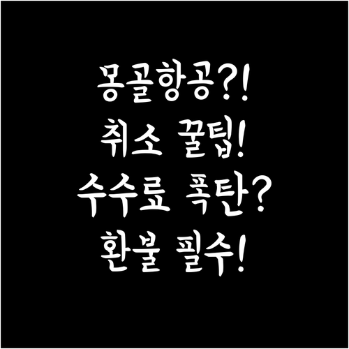 몽골항공 항공권 취소 수수료와 환불 ..