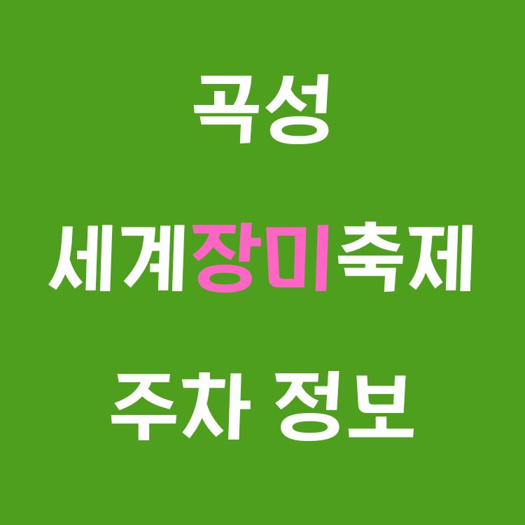 곡성 기차마을 주차 걱정 NO! 장미축제 방문 꿀팁 A to Z