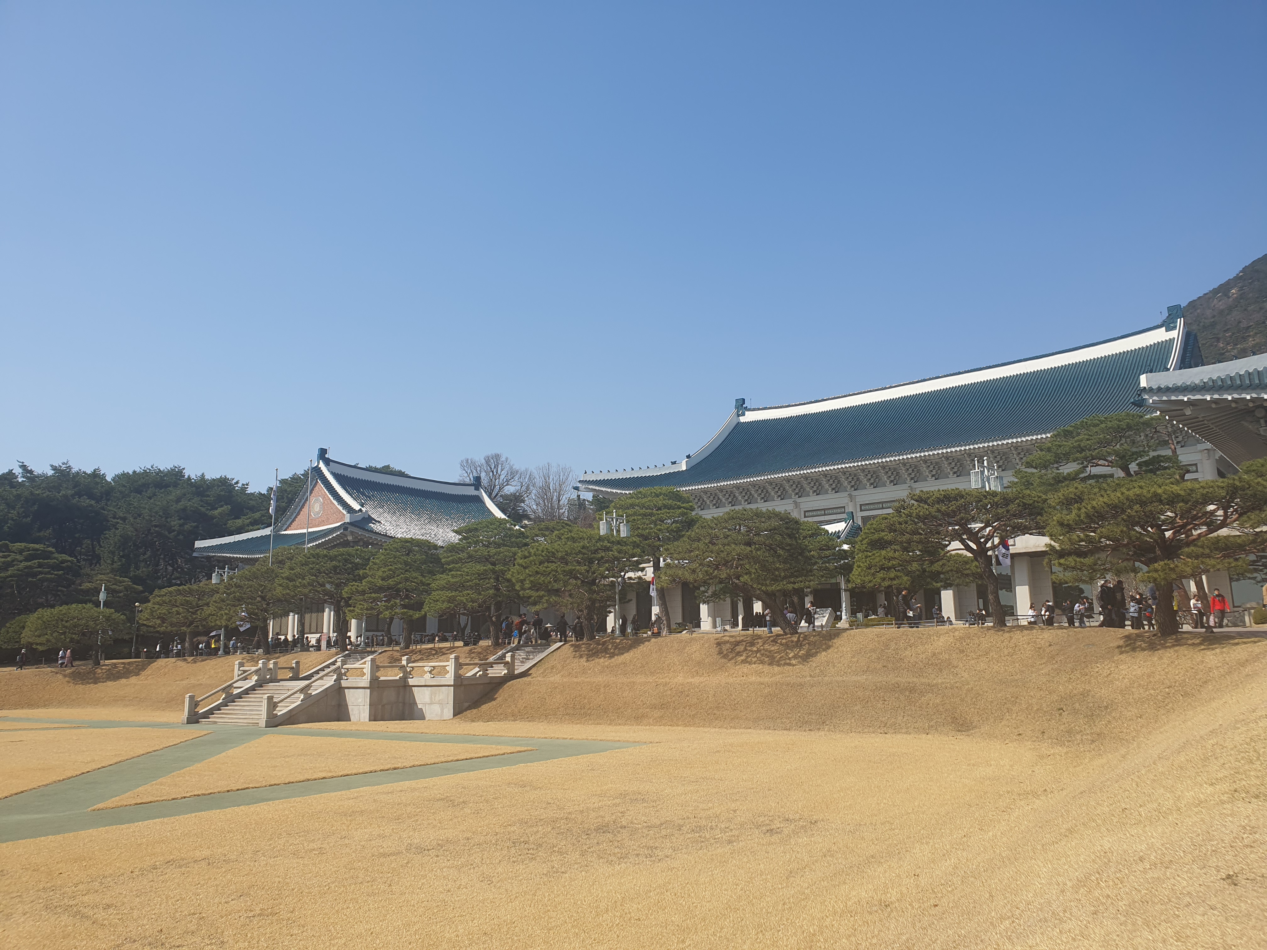 청와대