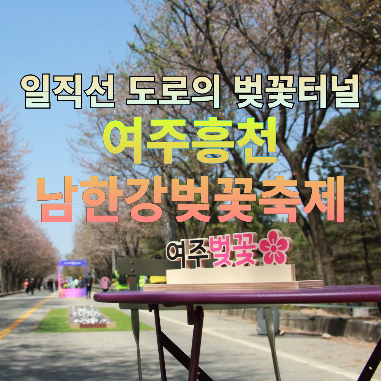 여주흥천남한강 벚꽃축제