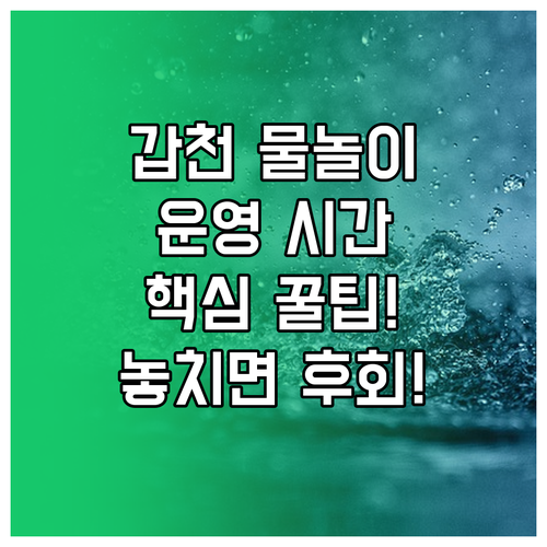 물놀이 시설 운영 시간: 갑천호수공원..