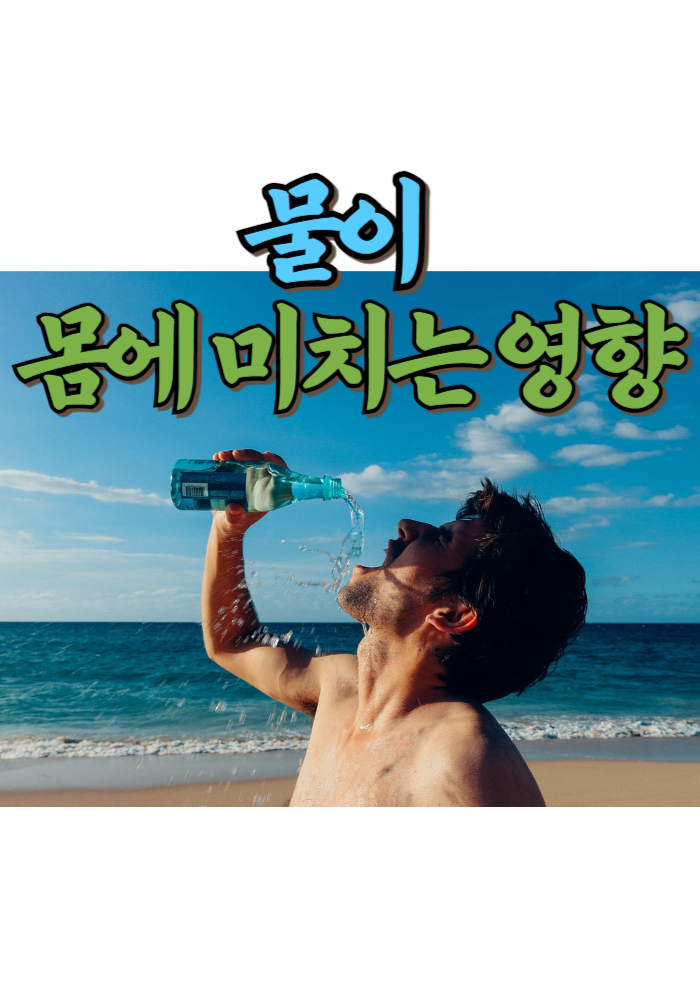 1.물이 몸에 미치는 영향