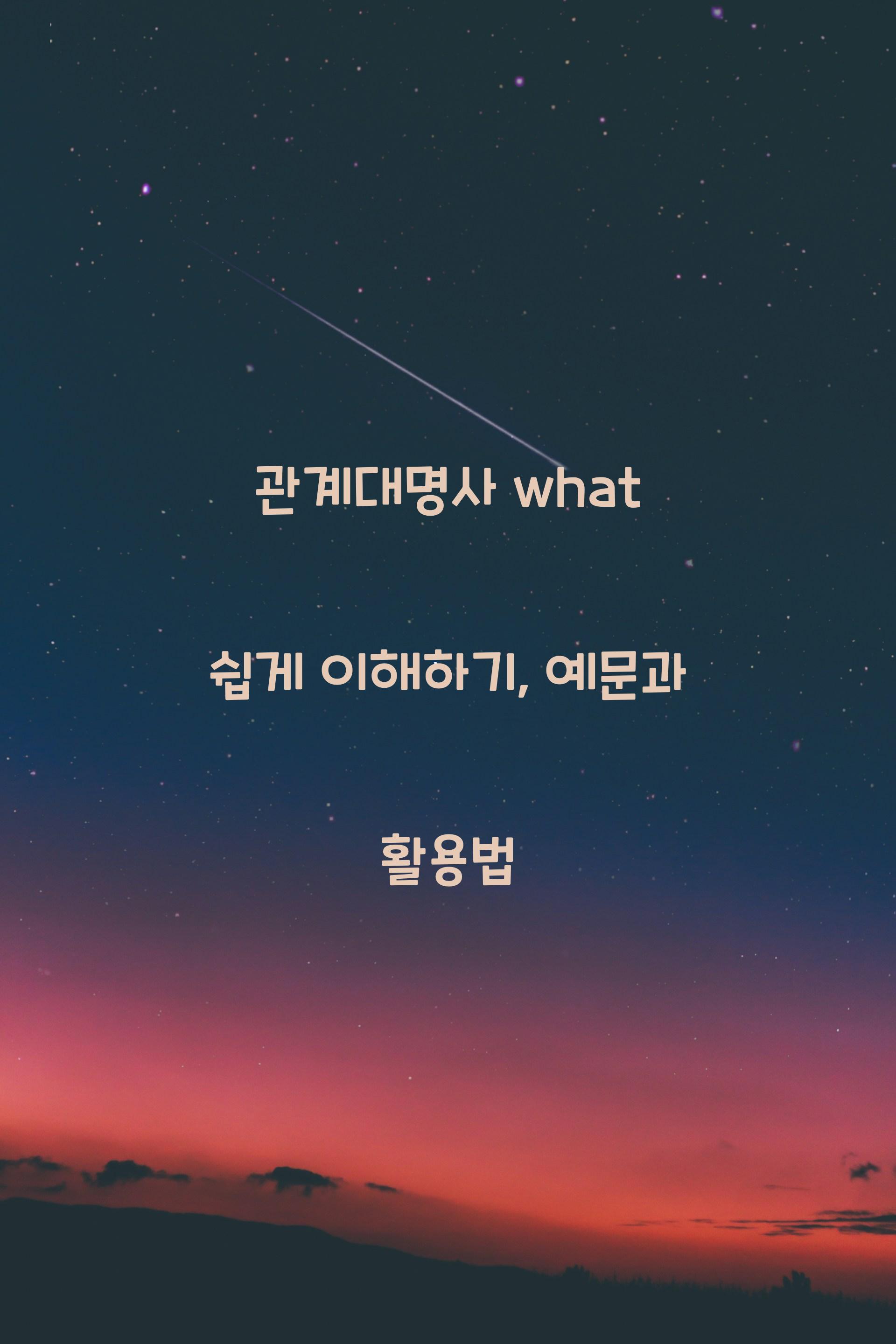 관계대명사what