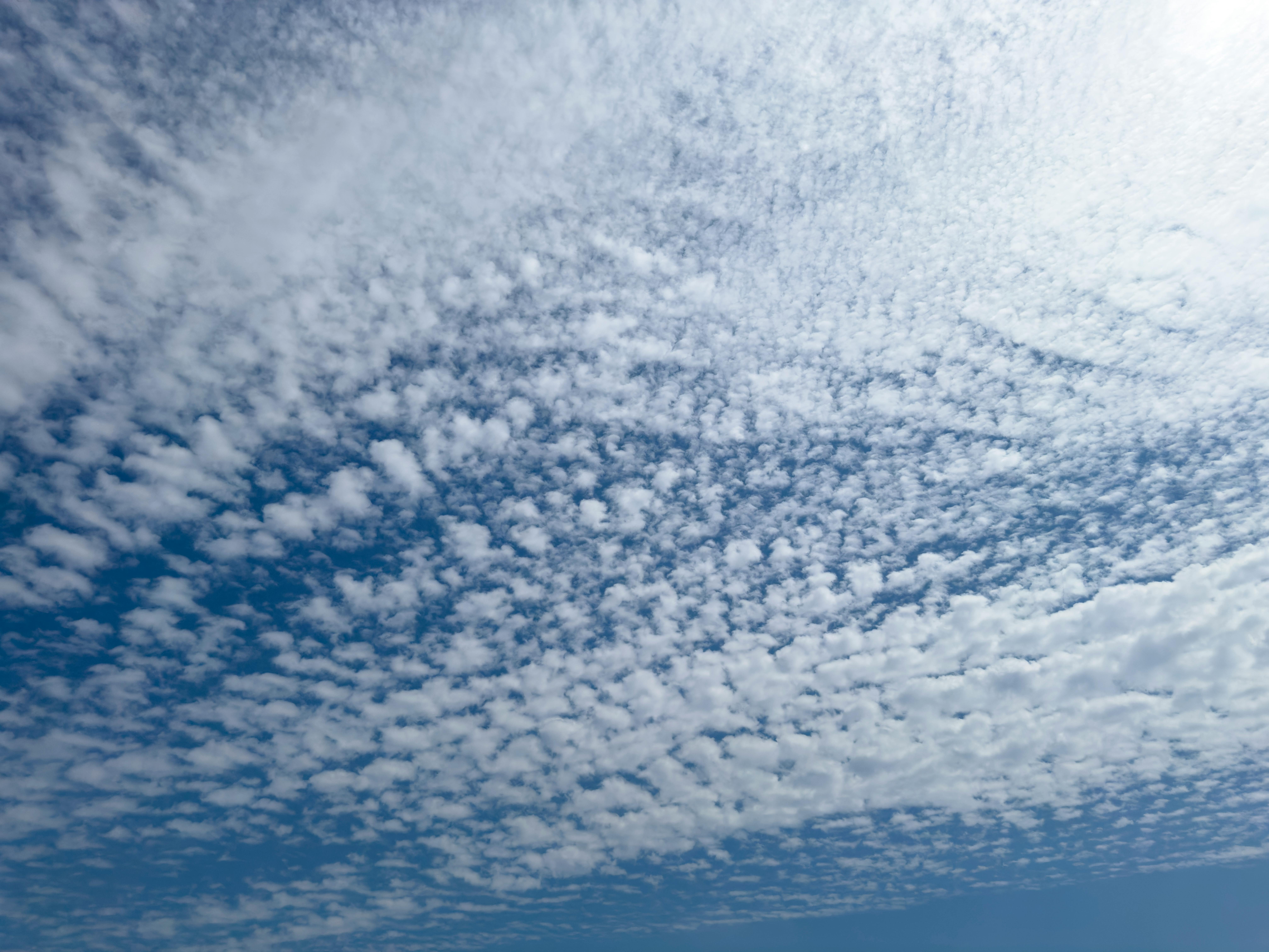 사람을 죽인 뒤 평온한을 상징하는 이미지