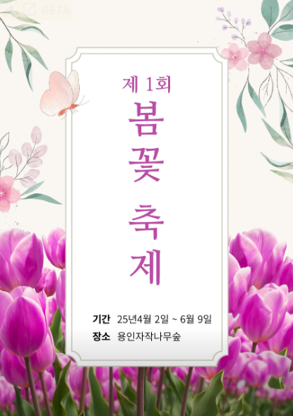 용인 자작나무숲