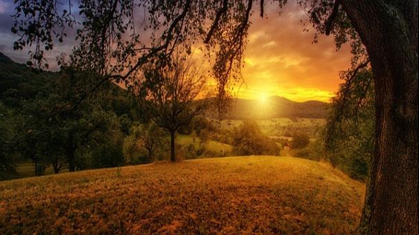 기초연금 재산기준 2023년 완화