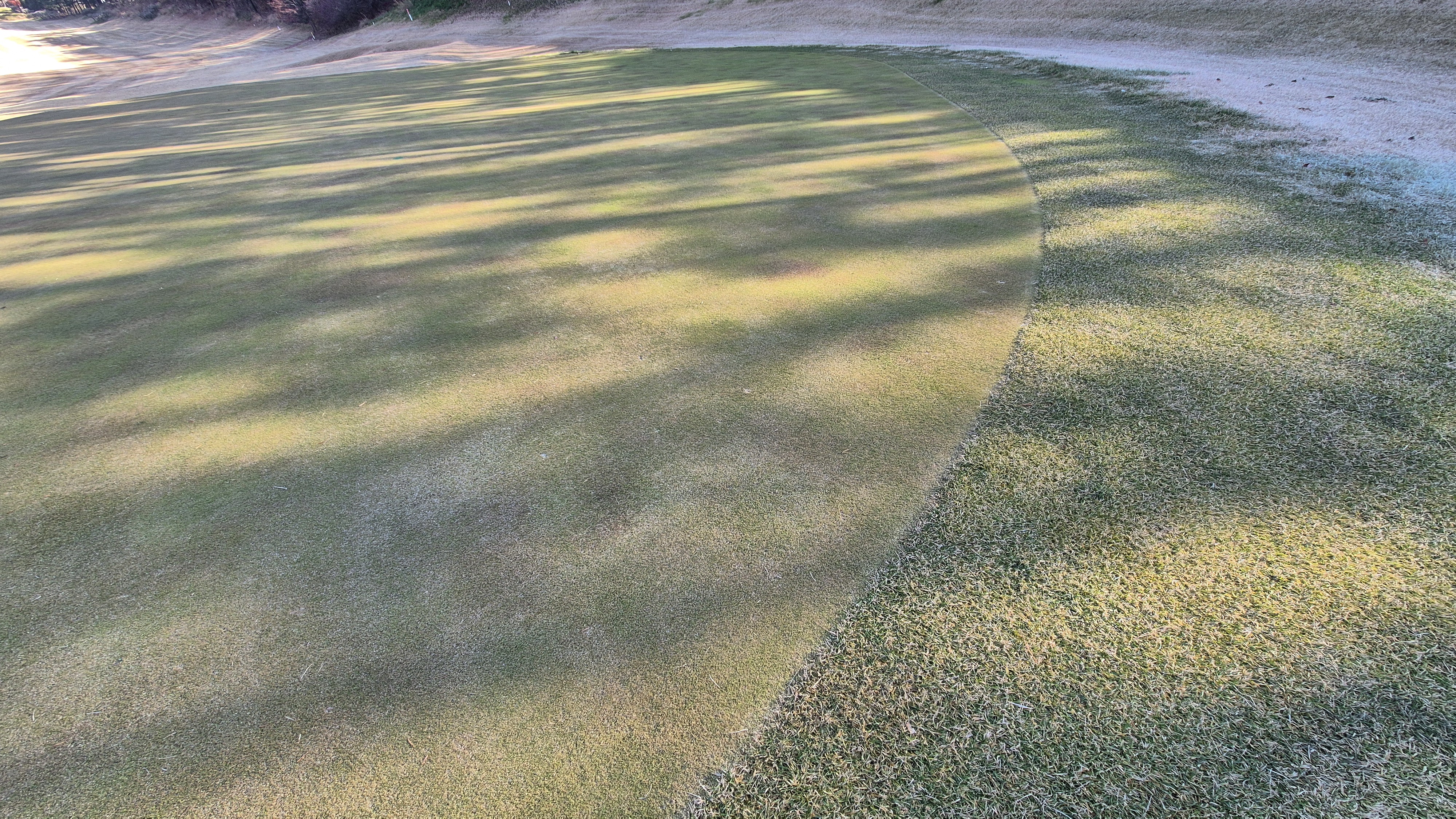 88cc 서코스 그린관리상태