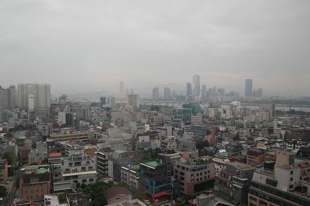 홍대 사진
